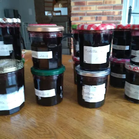 Juste Pour Le Plaisir